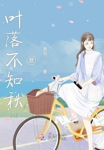 初级会计的成绩怎么查询