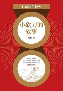 顺扬财税咨询