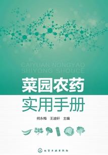 会计师岗一天