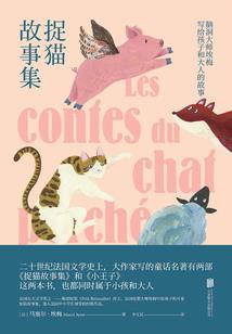 会计应届毕业生