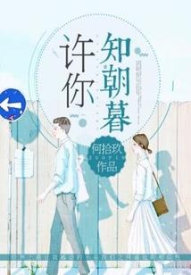 庐阳区知名代理记账会计