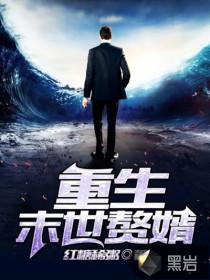 注册会计师的缺陷