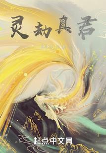 会计新动向