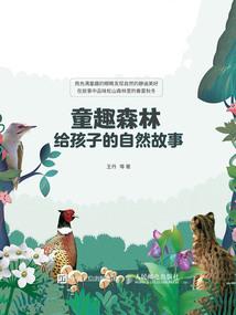 初级会计师每个批次试卷