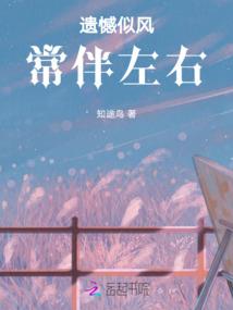 金州区财税公司报价表