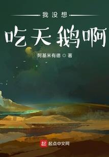 武汉cpa同伴