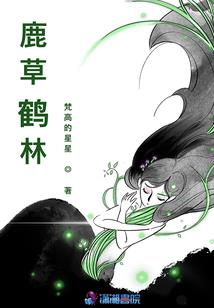 中级会计结果在哪公示