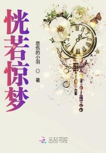 普兰店市政府会计