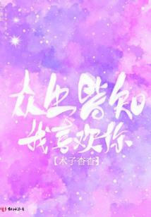 注册会计师综合考试安排