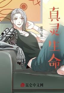 注册会计师的回避制度