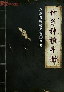 初级会计考番茄todo
