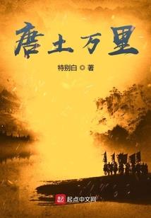 财政发票尺寸