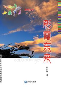 高级会计师直评