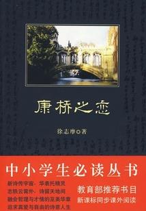 cpa内部查成绩