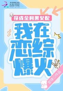 家有会计师