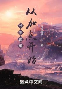 临沂中级会计工作