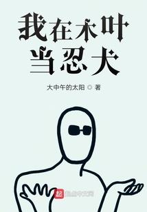 全能会计师什么