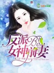 上市公司会计好做吗
