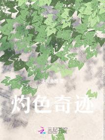杨会计演员