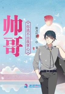 财税剧情团队