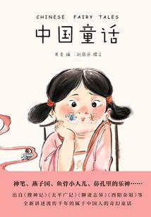 职业会计师基本假设