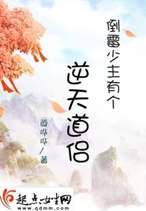 会计检查要求