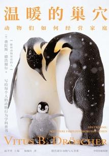 东奥继续教育税务老师