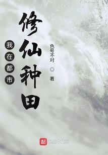 总会计师违法