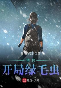 会计师包括内容