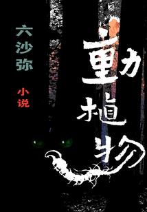 中级会计师经济法备考