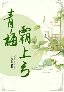 会计核算方法有