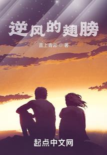 中国财政部控股的股票有