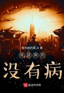 深圳市南山区财政局辅警