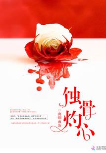 民航总会计师条例