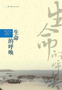 东奥会宴席照片真实