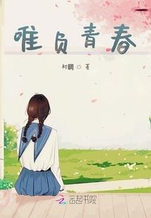 城市财政收入的由来视频