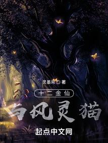 初会会计考试8月2浩