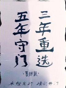 中国会计师的分类