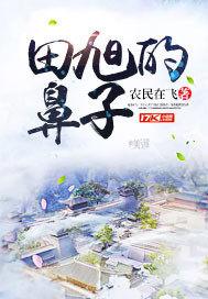松江乡镇财政排名榜