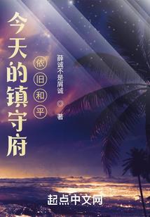 财政局地方债务风险报告