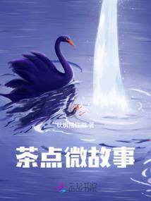 越西县会计接受