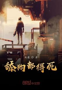 琛哥cpa