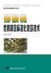 澳洲188a会计师