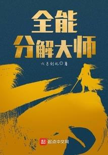 cpa内部控制pdf