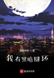 上市会计师干嘛