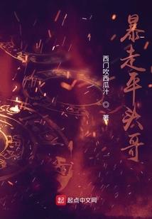 省级财政排名