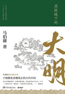 政府会计选择