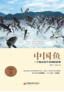 哪几个省份财政正向结余