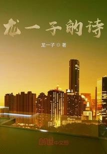 会计分录怎样分类汇总的