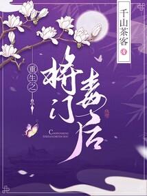 财税公司财税方案设计